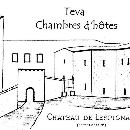 Teva Bed & Breakfast Lespignan Luaran gambar